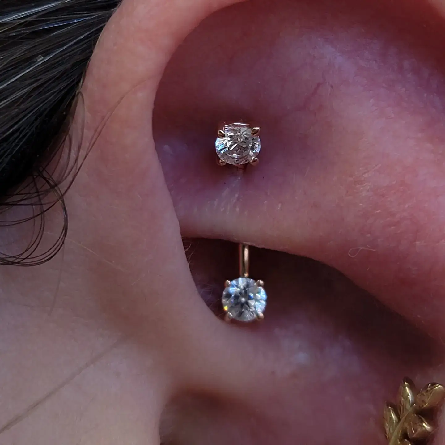 Rook piercing done with solid gold
						