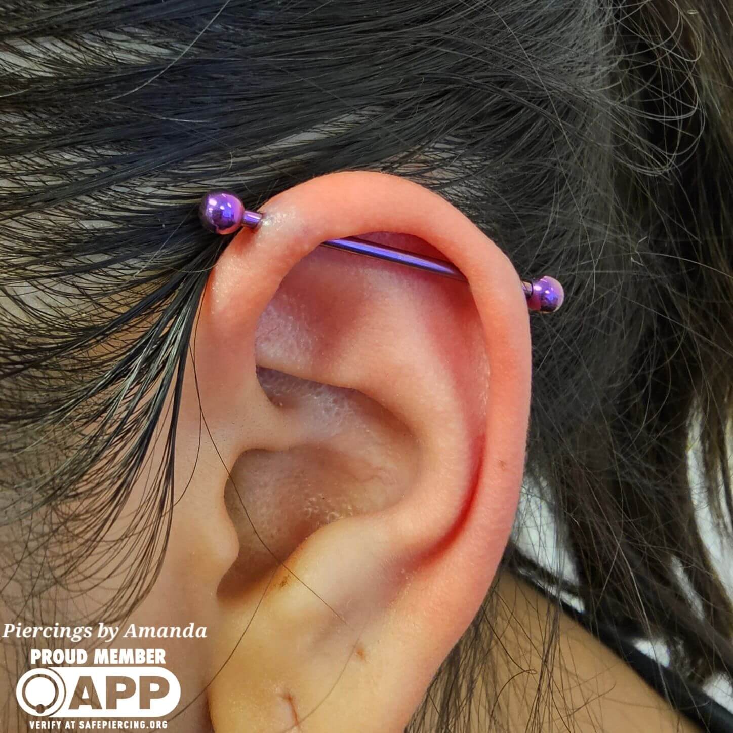 Fresh industrial with implant grade titanium anodized purple in house
